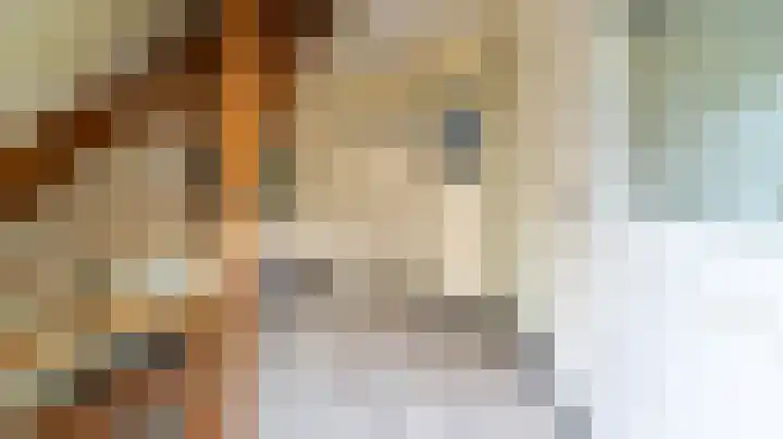 Bomenland 13 Venhuizen thumbnail 10