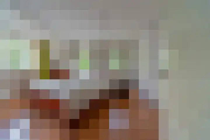 Bomenland 13 Venhuizen thumbnail 31
