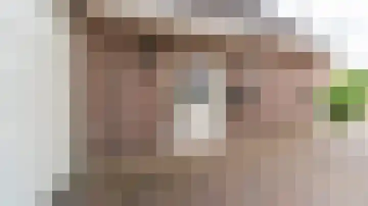Bomenland 13 Venhuizen thumbnail 4