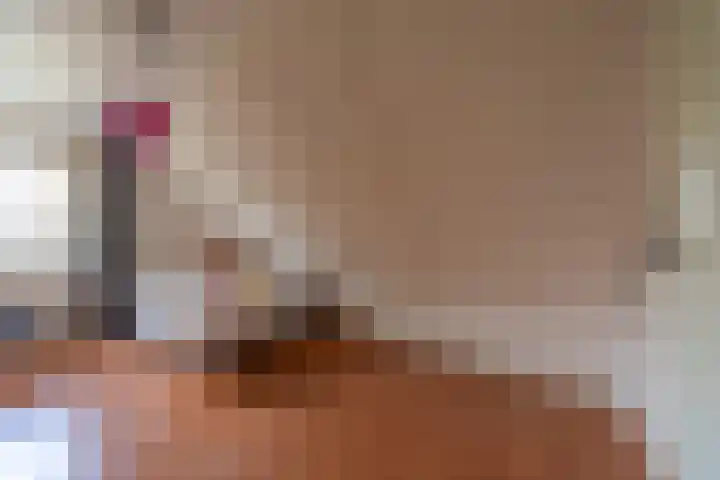 Bomenland 13 Venhuizen thumbnail 40