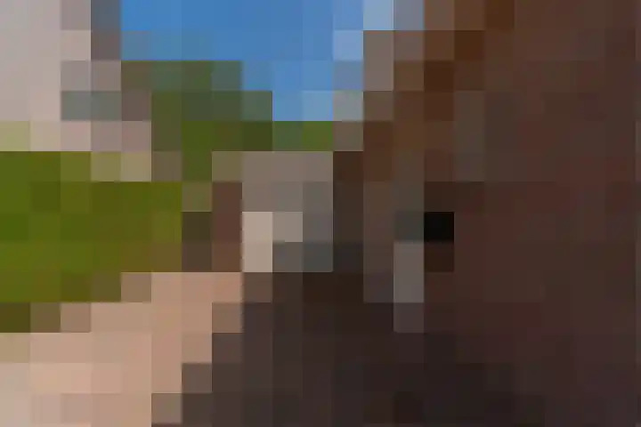 Bomenland 13 Venhuizen thumbnail 44