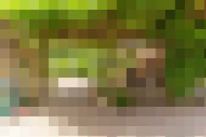 Bomenland 13 Venhuizen thumbnail 49
