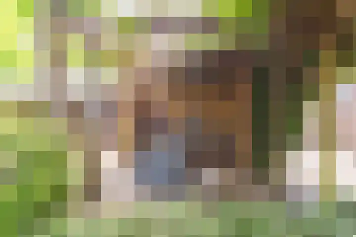 Bomenland 13 Venhuizen thumbnail 53