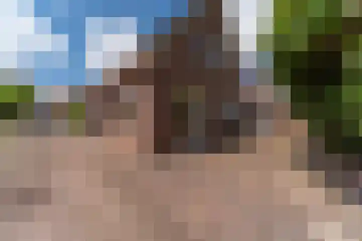 Bomenland 13 Venhuizen thumbnail 60