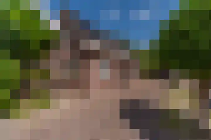 Bomenland 13 Venhuizen thumbnail 63