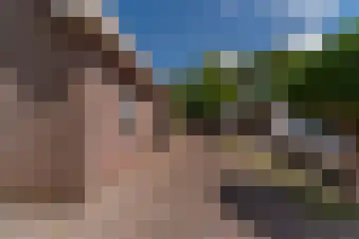 Bomenland 13 Venhuizen thumbnail 64