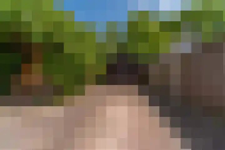 Bomenland 13 Venhuizen thumbnail 65