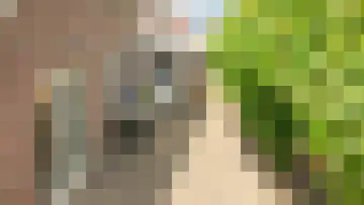 Bomenland 13 Venhuizen thumbnail 67