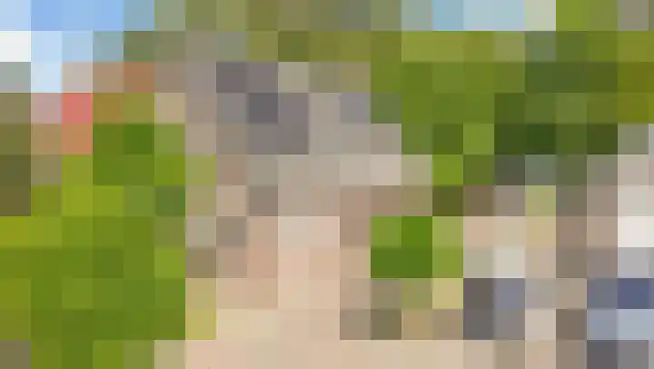 Bomenland 13 Venhuizen thumbnail 68