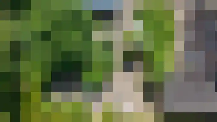 Bomenland 13 Venhuizen thumbnail 71