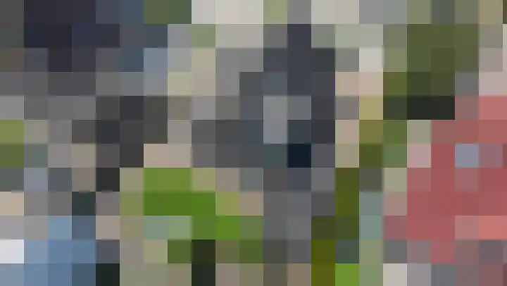 Bomenland 13 Venhuizen thumbnail 72