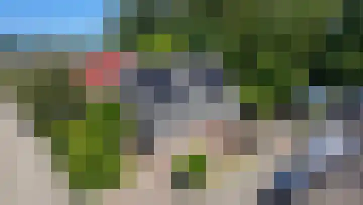 Bomenland 13 Venhuizen thumbnail 80