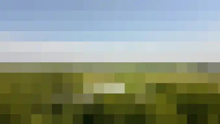 Bomenland 13 Venhuizen thumbnail 81