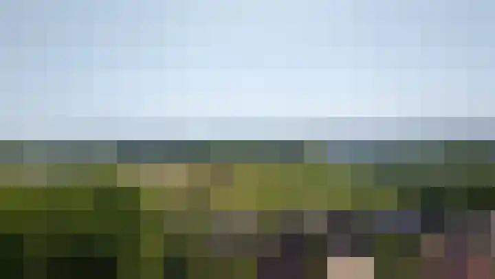 Bomenland 13 Venhuizen thumbnail 82