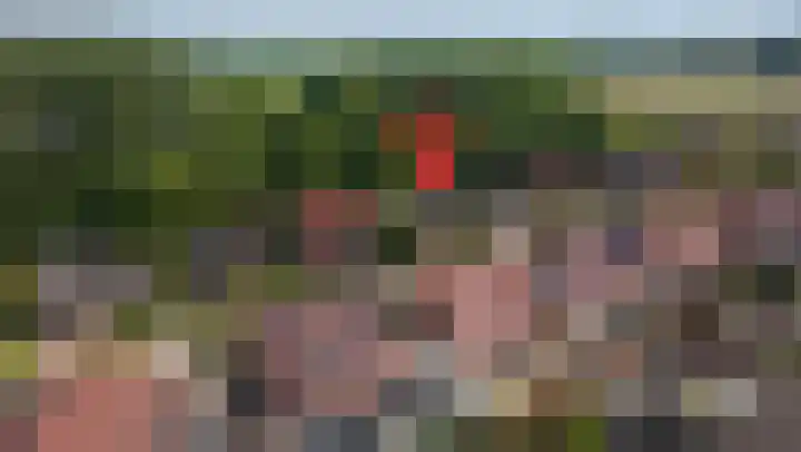 Bomenland 13 Venhuizen thumbnail 85