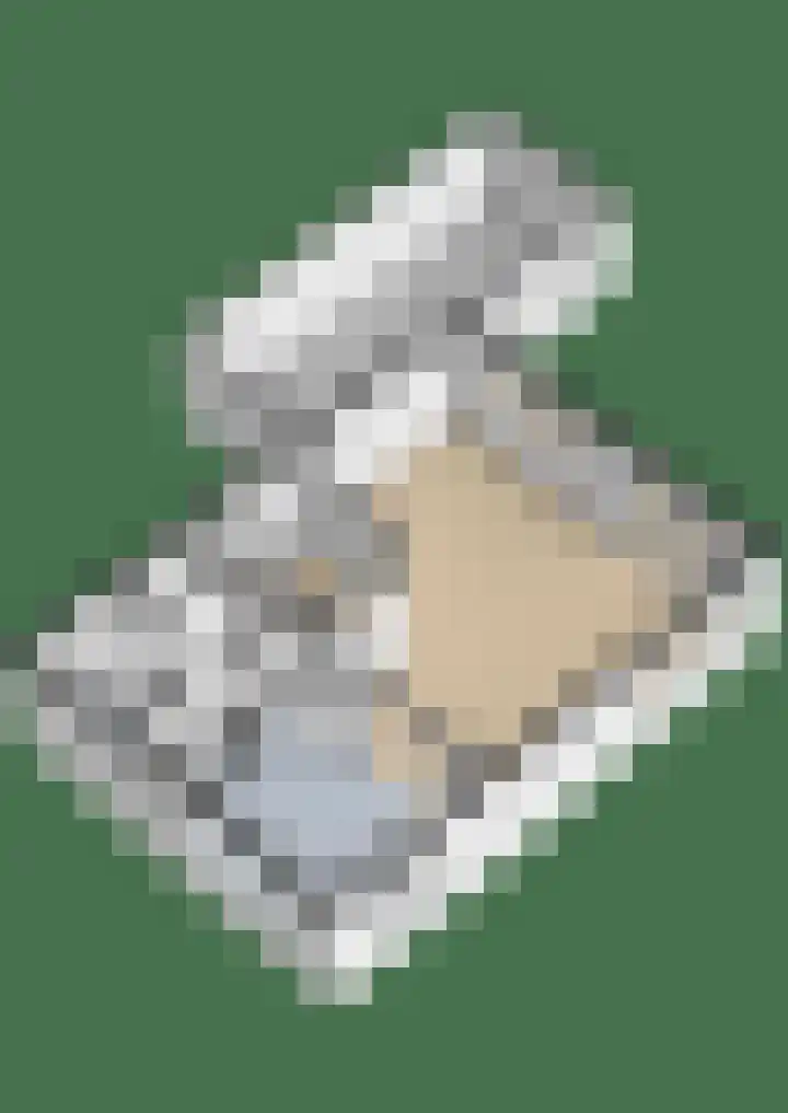Bomenland 13 Venhuizen thumbnail 9