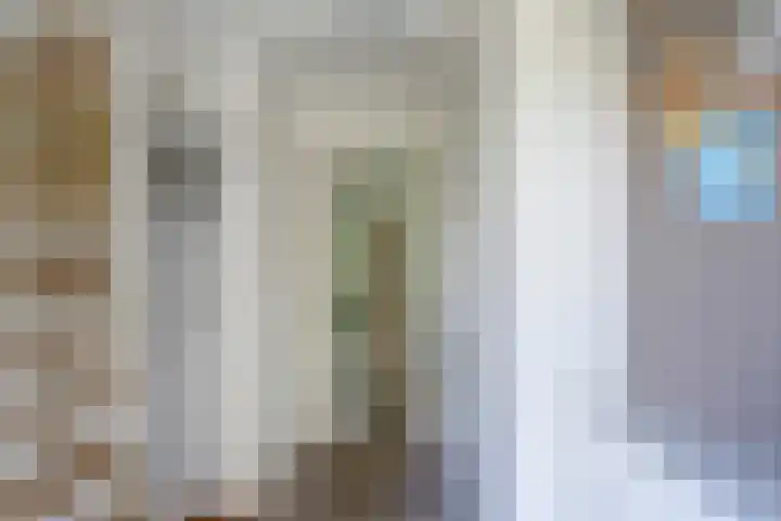 Bomenland 2 Venhuizen thumbnail 15