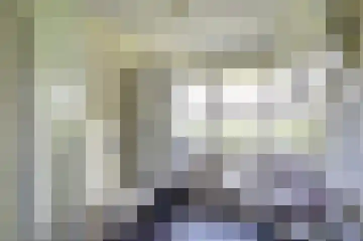 Bomenland 2 Venhuizen thumbnail 17