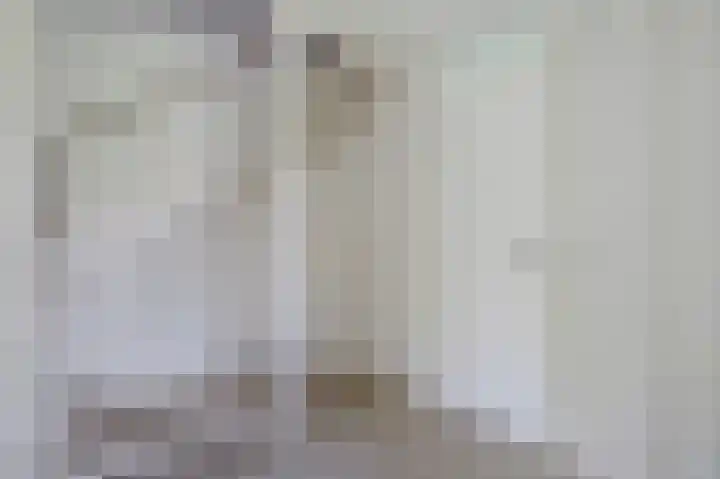 Bomenland 2 Venhuizen thumbnail 22