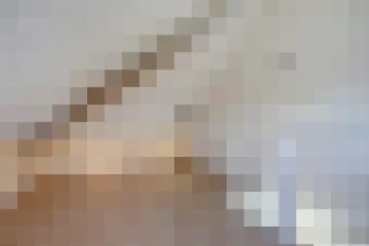Bomenland 2 Venhuizen thumbnail 23