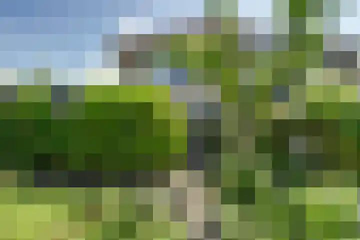 Bomenland 2 Venhuizen thumbnail 27