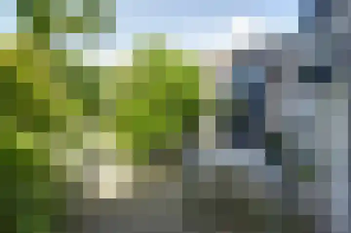 Bomenland 2 Venhuizen thumbnail 28