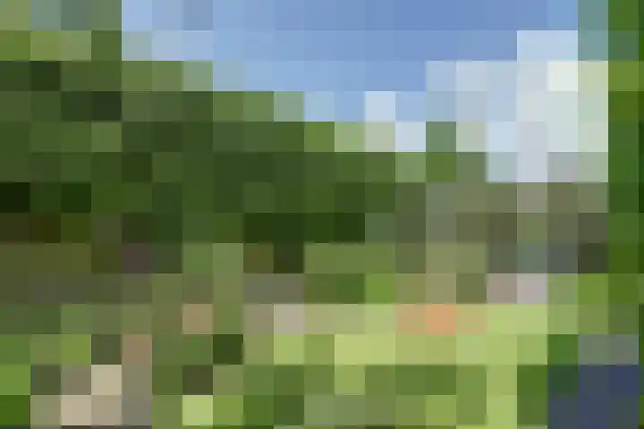 Bomenland 2 Venhuizen thumbnail 29