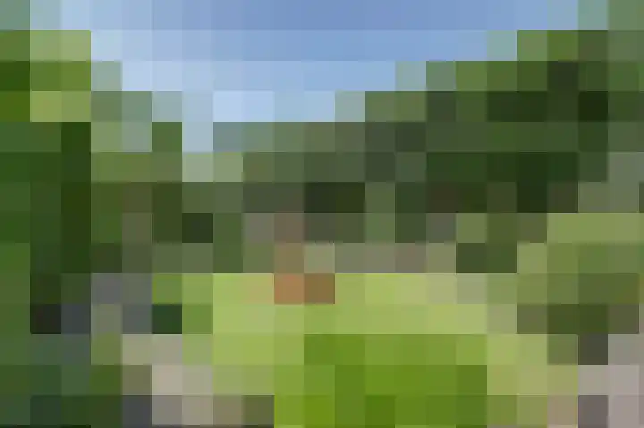 Bomenland 2 Venhuizen thumbnail 30