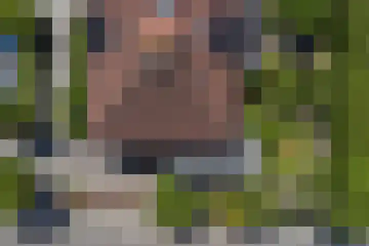 Bomenland 2 Venhuizen thumbnail 33