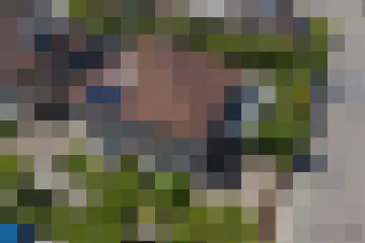 Bomenland 2 Venhuizen thumbnail 34