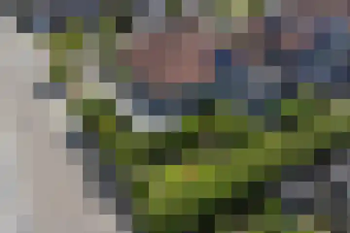 Bomenland 2 Venhuizen thumbnail 35