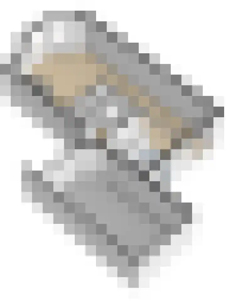 Bomenland 2 Venhuizen thumbnail 40
