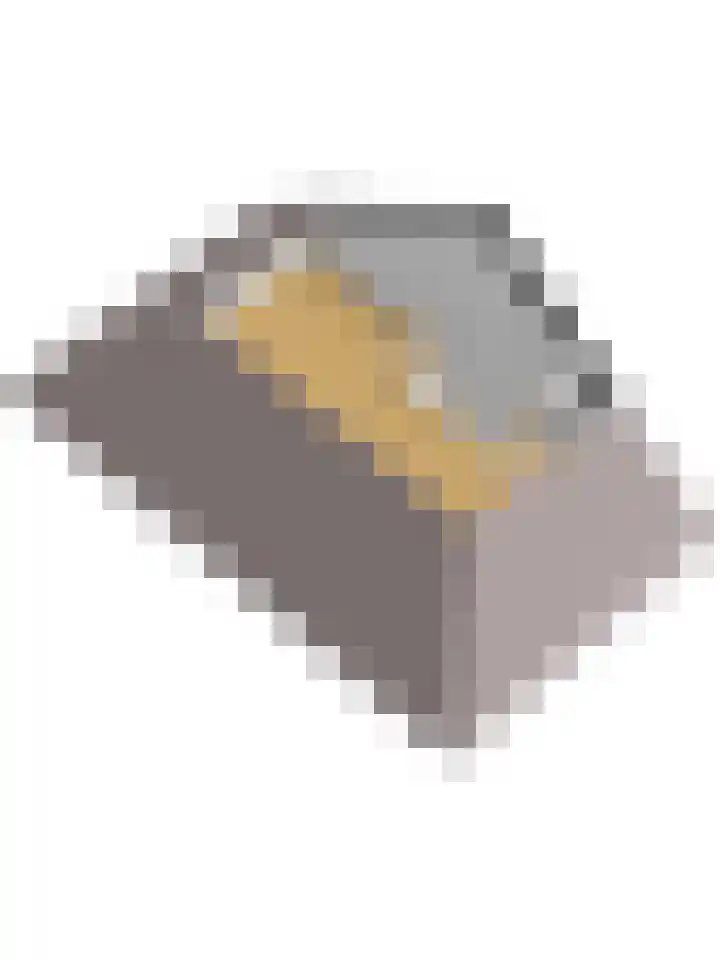 Bomenland 2 Venhuizen thumbnail 44