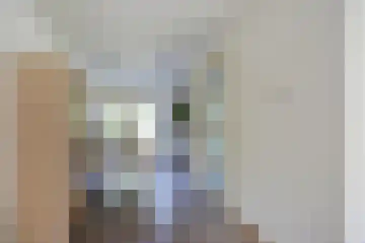 Bomenland 2 Venhuizen thumbnail 9