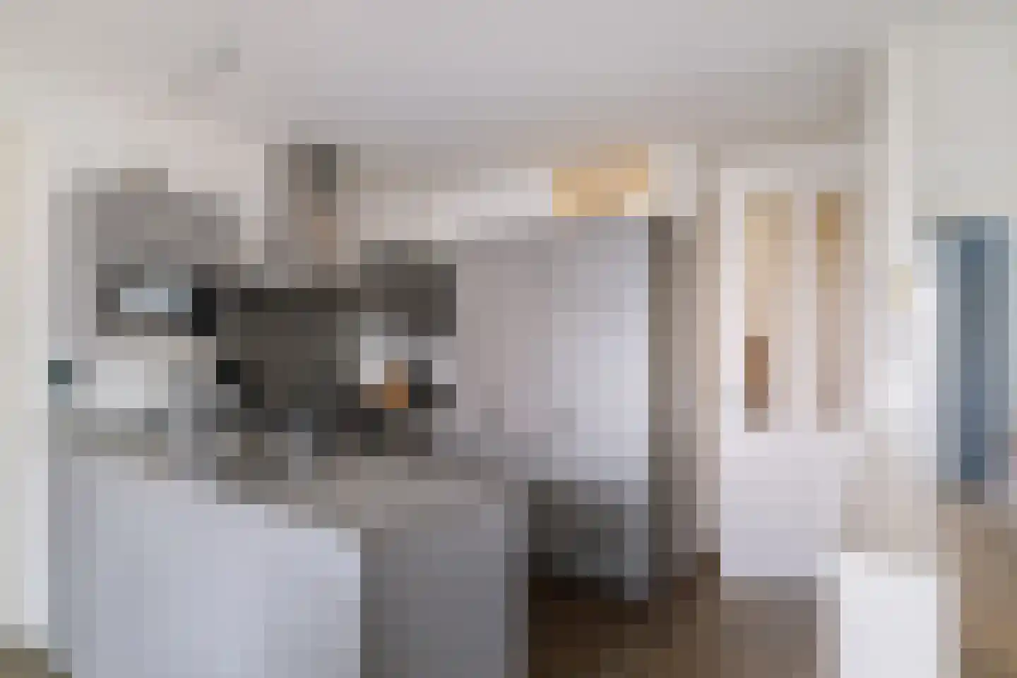 Bomenrand 15 Bathmen thumbnail 11