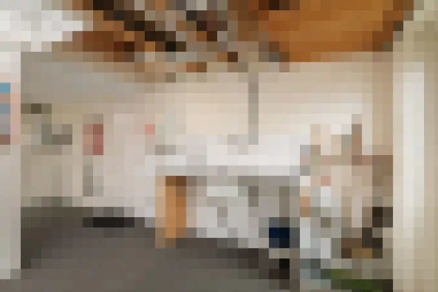 Bomenrand 15 Bathmen thumbnail 21