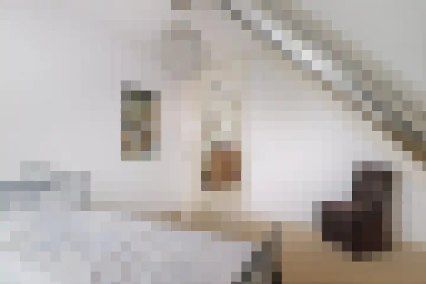 Bomenrand 15 Bathmen thumbnail 31
