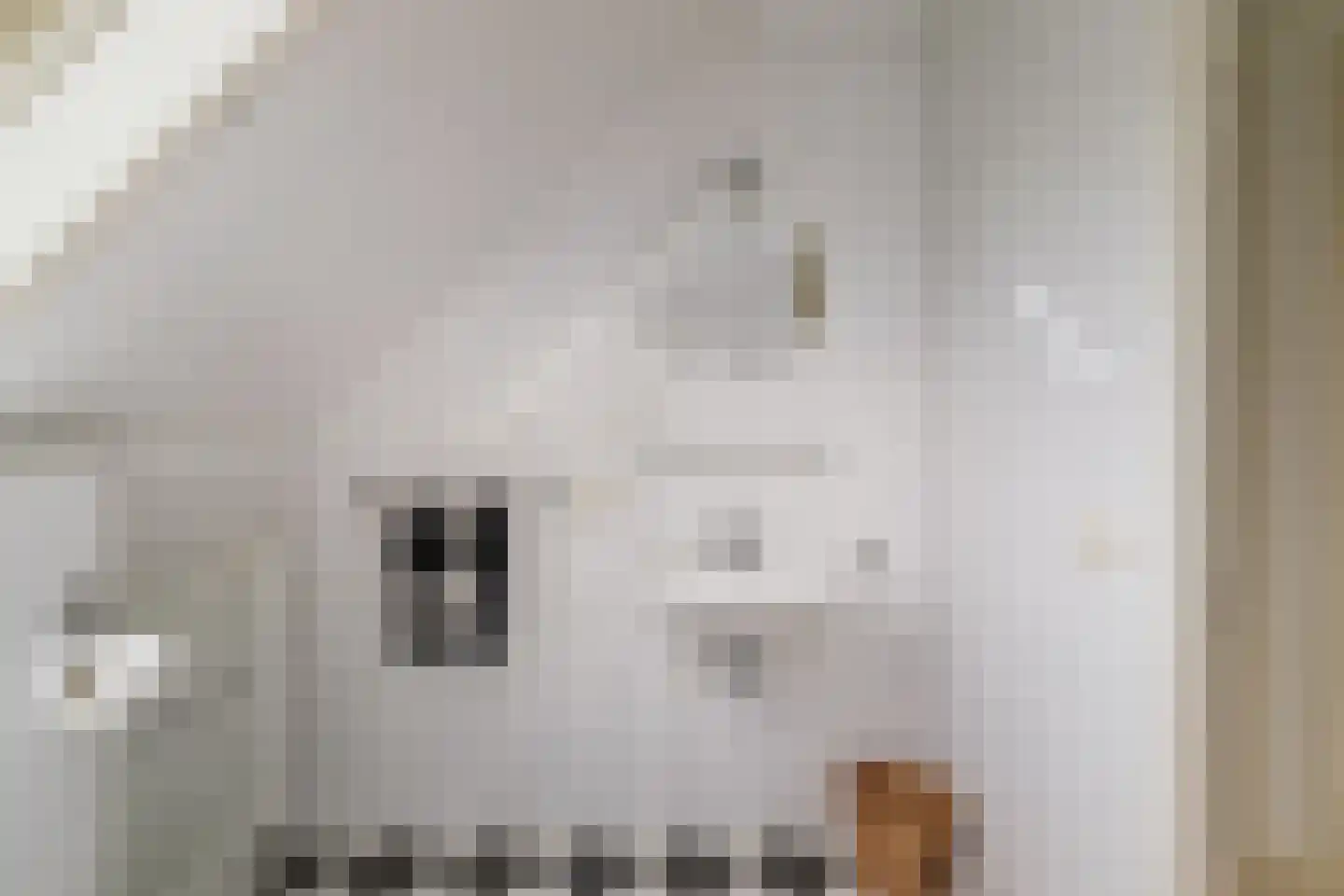 Bomenrand 15 Bathmen thumbnail 35