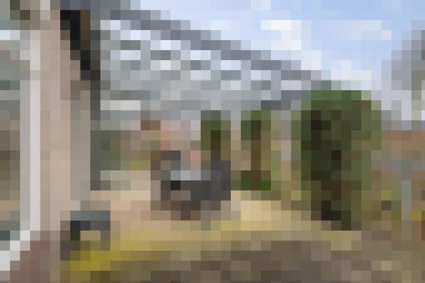 Bomenrand 15 Bathmen thumbnail 38
