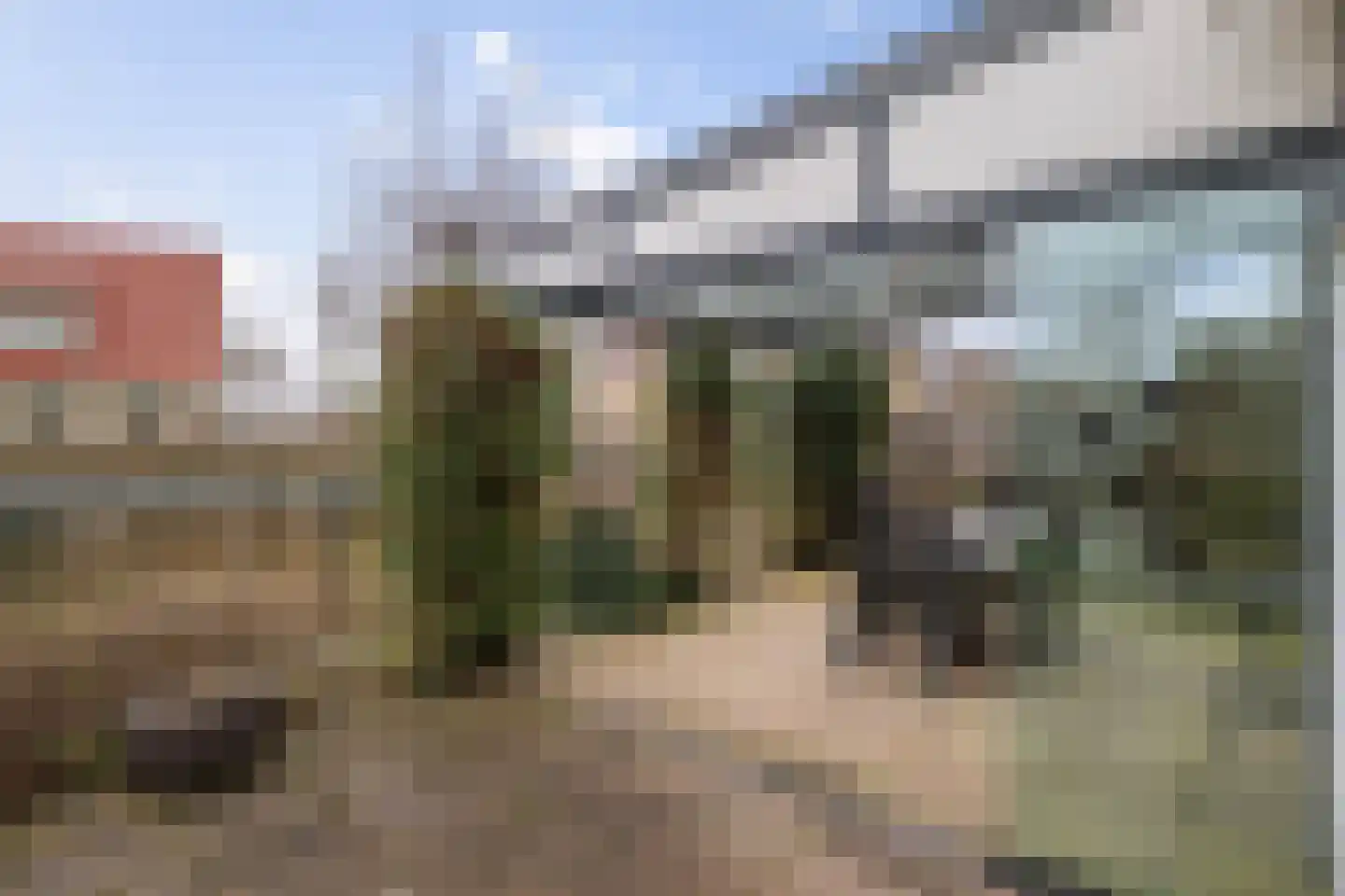 Bomenrand 15 Bathmen thumbnail 39