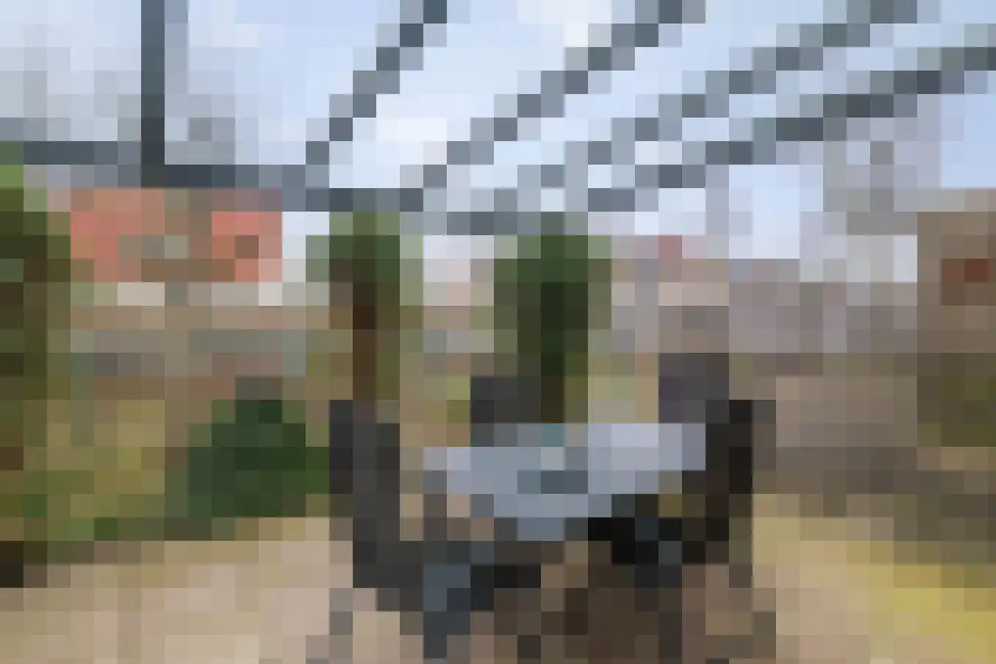Bomenrand 15 Bathmen thumbnail 40