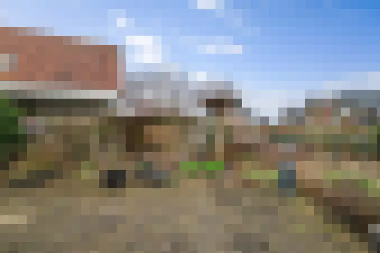 Bomenrand 15 Bathmen thumbnail 46