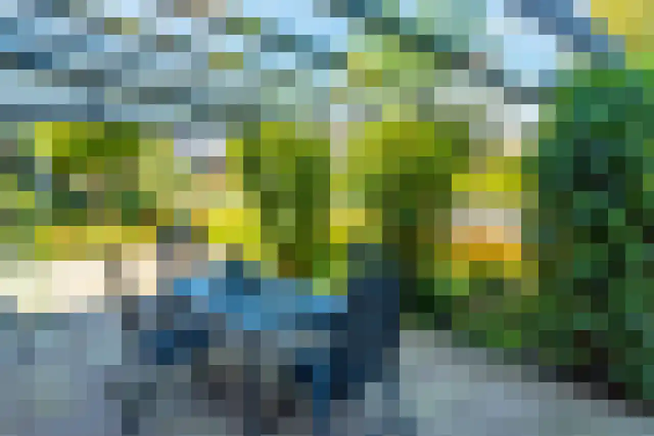 Bomenrand 15 Bathmen thumbnail 47
