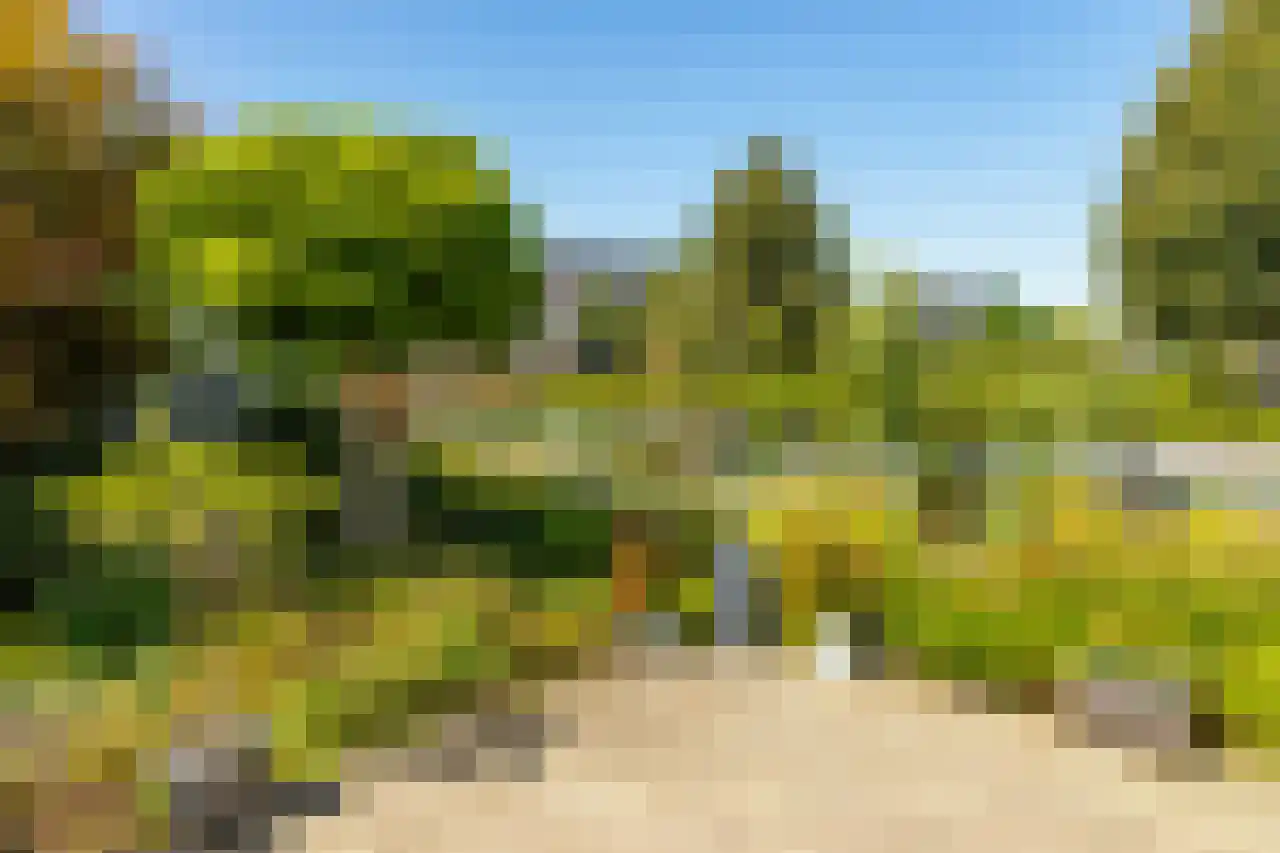 Bomenrand 15 Bathmen thumbnail 48