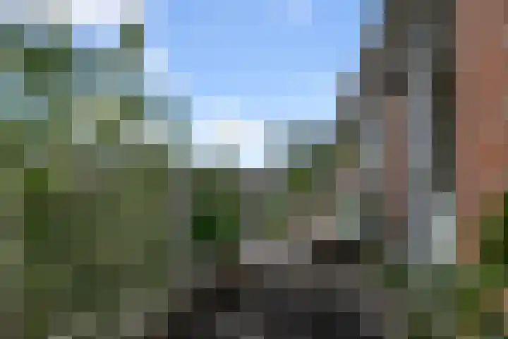Bomenrijk 111 Diemen thumbnail 10