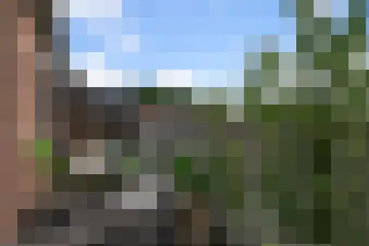 Bomenrijk 111 Diemen thumbnail 11