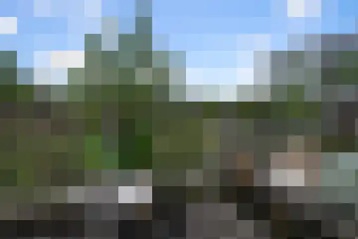 Bomenrijk 111 Diemen thumbnail 12