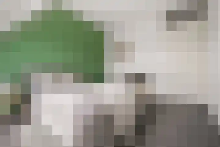 Bomenrijk 111 Diemen thumbnail 16