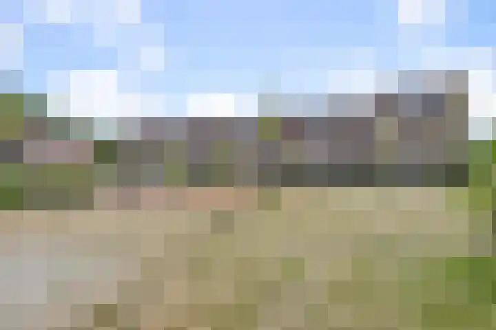 Bomenrijk 111 Diemen thumbnail 20