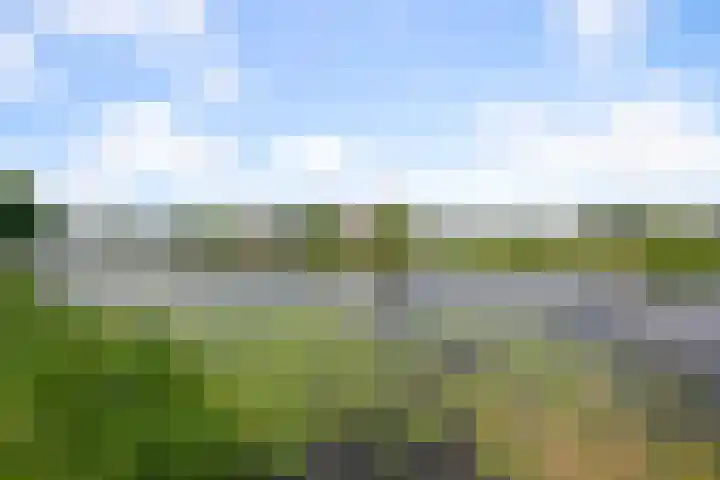 Bomenrijk 111 Diemen thumbnail 21